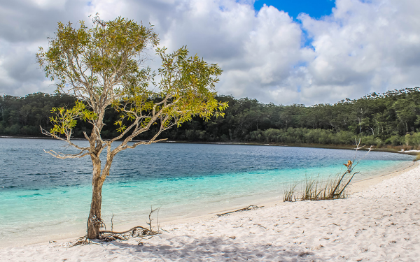 Fraser Island